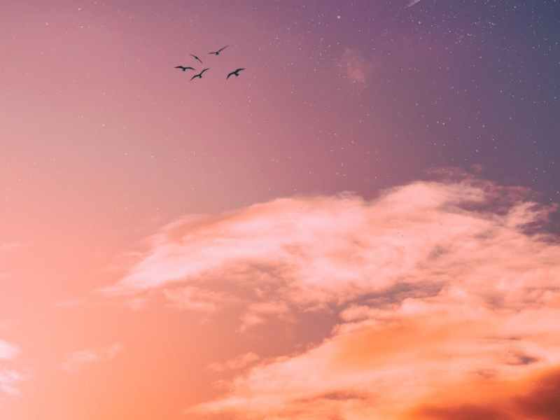 Having a Mind Fixed on&nbsp;Jesus